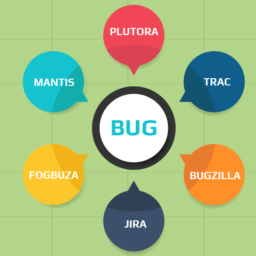 Lifecycle of a Testing Bug