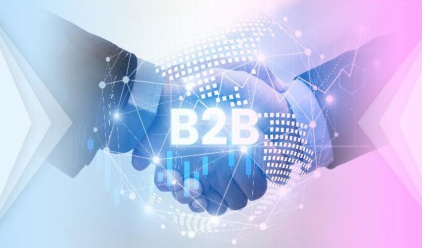 B2B Software Systems